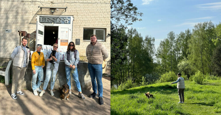 verslai-atsigrezia-i-beglobius-gyvunus-sudaro-galimybes-jiems-padeti-neisleidziant-ne-cento-66b20fcd84b9f